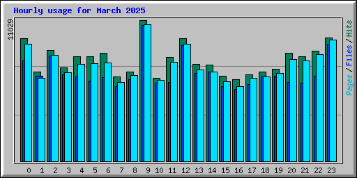 Hourly usage for March 2025