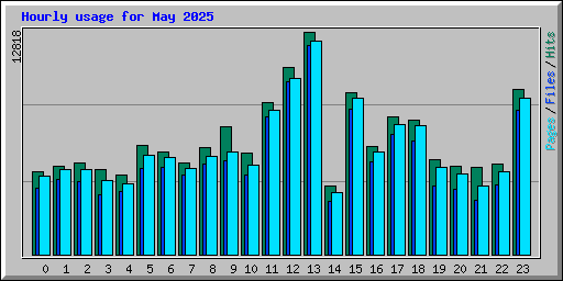 Hourly usage for May 2025