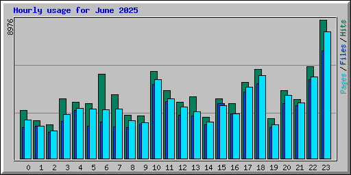 Hourly usage for June 2025