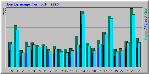 Hourly usage for July 2025