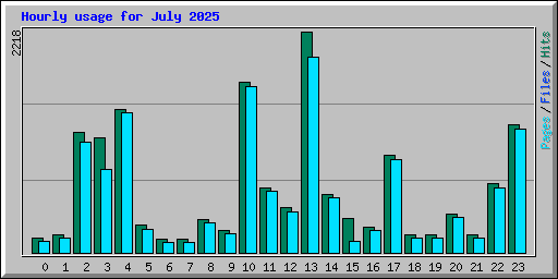 Hourly usage for July 2025